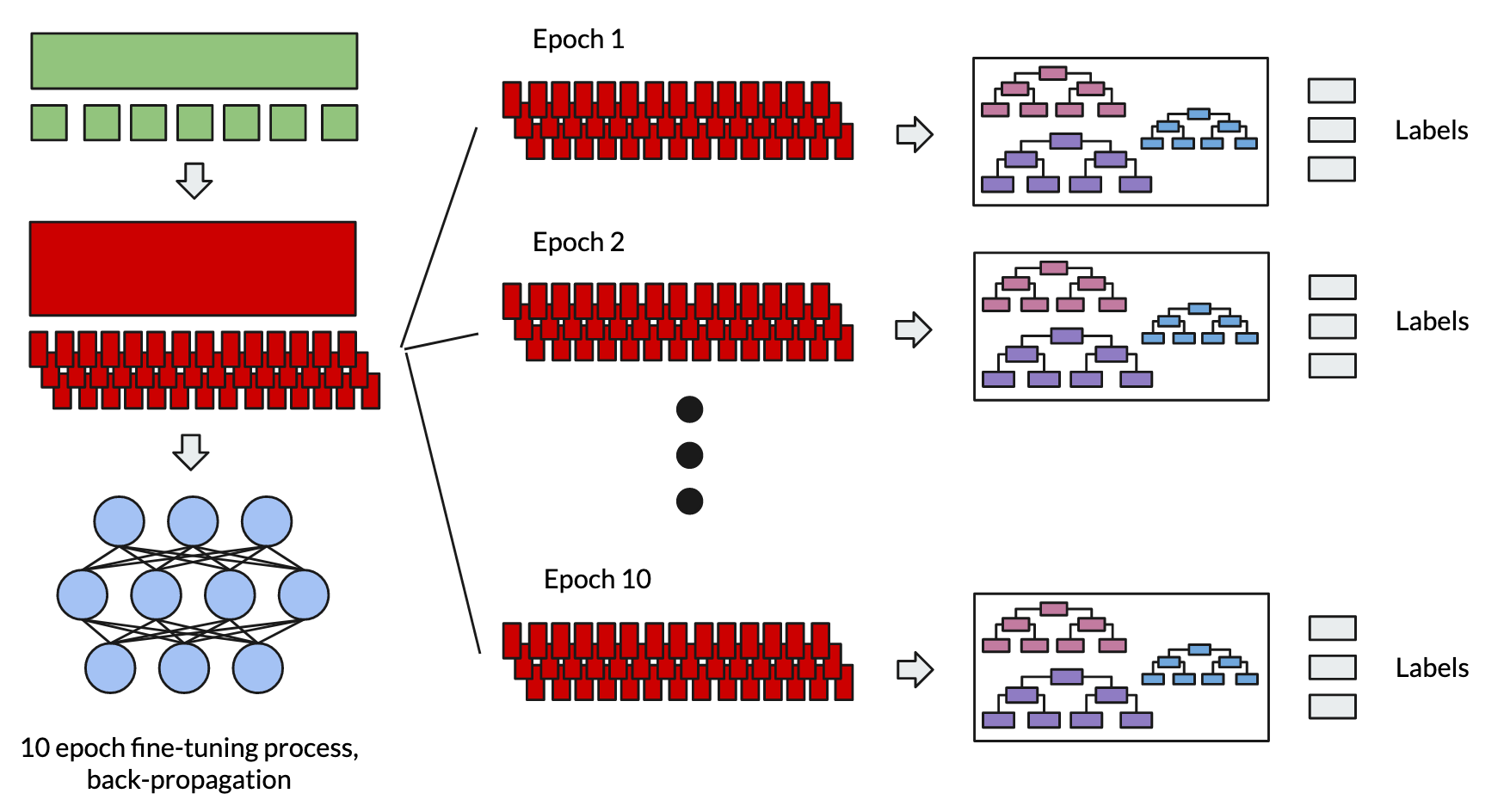 Experimenting with FreeGBDT for NLI Fine-Tuning