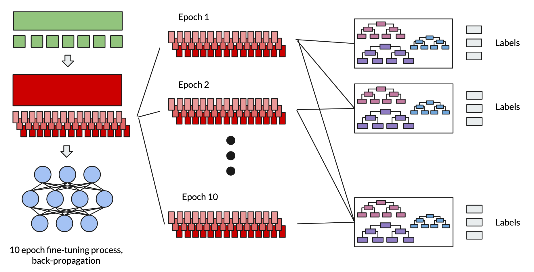 Experimenting with FreeGBDT for NLI Fine-Tuning